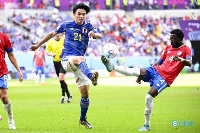 早在去年的 早在去年的